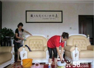 优优保洁 专业家政，让洁净与美缝点亮生活细节