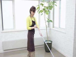 上海杨浦保洁小时工服务费用解析与家政保洁服务指南